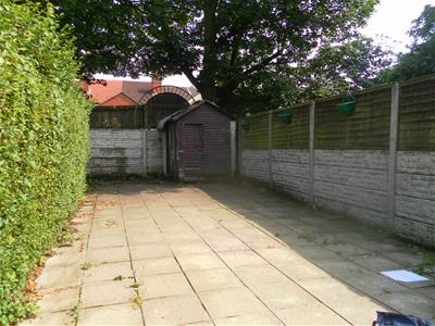 Picture 7